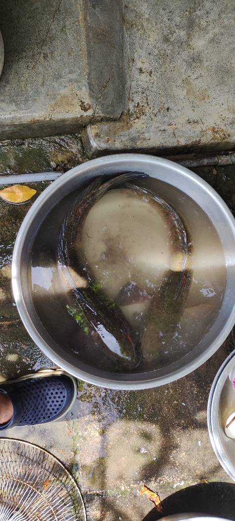 Hàng tốt, đẹp, mà chưa câu nên chưa pik chất lượng ra sao. Giao hơi chậm nhưng tại xa nên ko sao