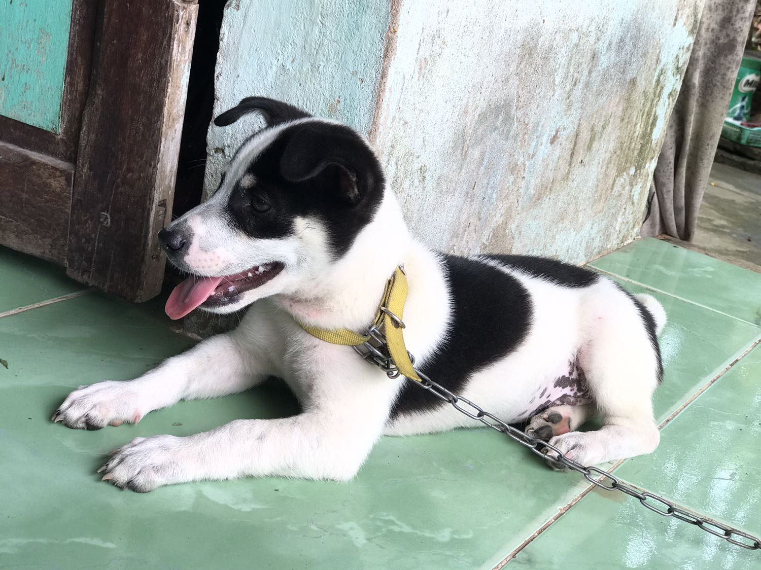 Đặt sp khoai môn nhưng khi nhận là đậu đỏ