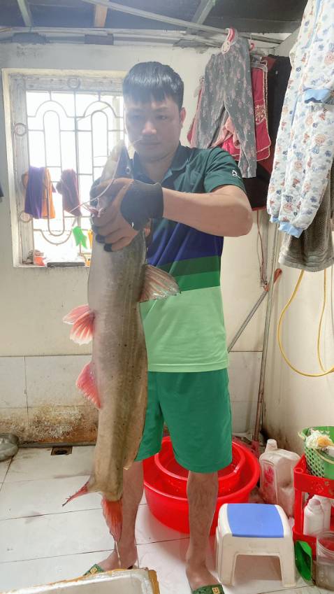 Hàng ship nhanh chống cần đẹp nên mua