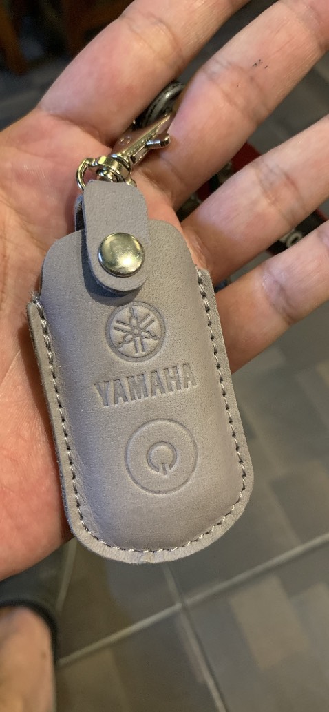 Đẹp, như mô tả của shop nhưng hơi dơ.