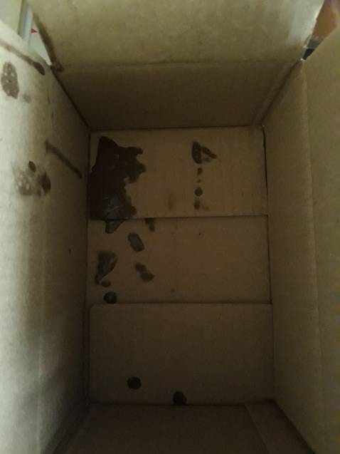 Tôi buồn hết sức, chai dung dịch vệ sinh hằng ngày sao đổ , chảy ra tè le, thấm ra hết cả cái hộp đựng chai dung dịch😭.Tôi cám ơn Công ty đã gởi tôi chai mới.Trân trọng