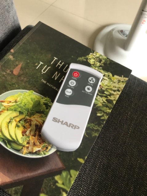 Quạt tốt, có điều khiển từ xa rất tiện, các nút bấm có vẻ bền vì không phải nút cơ thường gặp. Quạt mát hơn cây quạt trần 5tr.