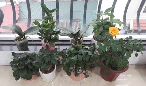 POMath - Toán Tư Duy Cho Trẻ Em 4-6 Tuổi (Tập 1). Sách khá hay. Đóng gói sản phẩm chắc chắn đẹp