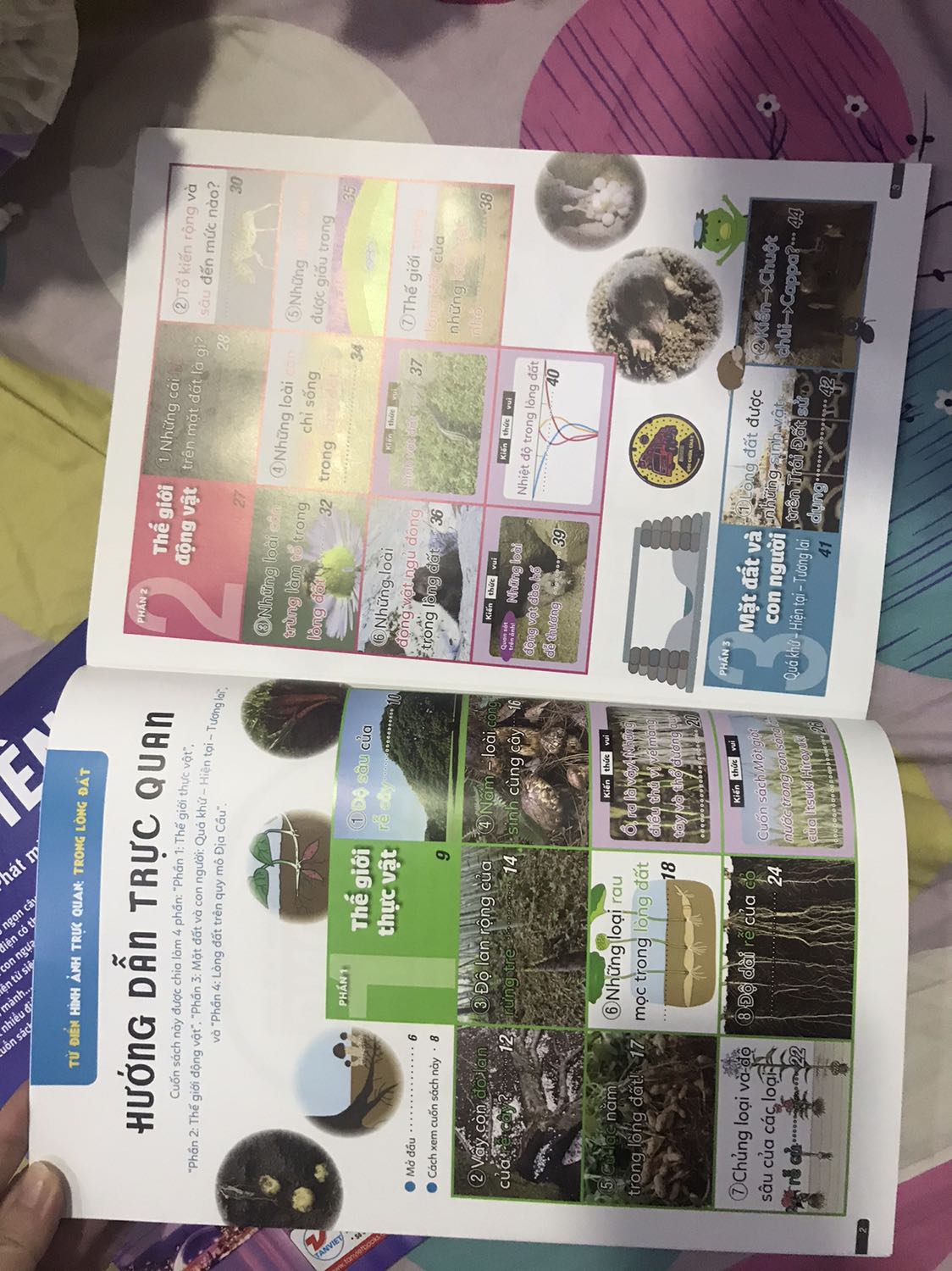 Sách bìa cứng, hình ảnh minh hoạ nhiều.  Mình thấy cũng đẹp, nhưng nội dung bố cục hơi nhiều quá, có thể bé sẽ lười đọc.  Giao đủ & siêu nhanh. Mới đặt hôm nay là ngày mai giao tới liền.