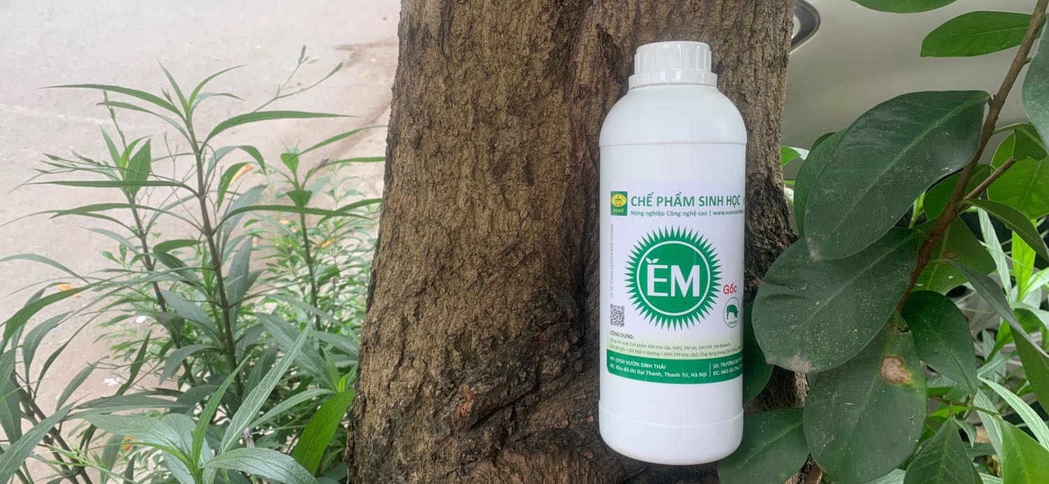 Ủa dịch chuối rất thơm không có mùi hôi
Đã sử dụng rất nhiều sản phẩm của shop
Sản phẩm rất tốt