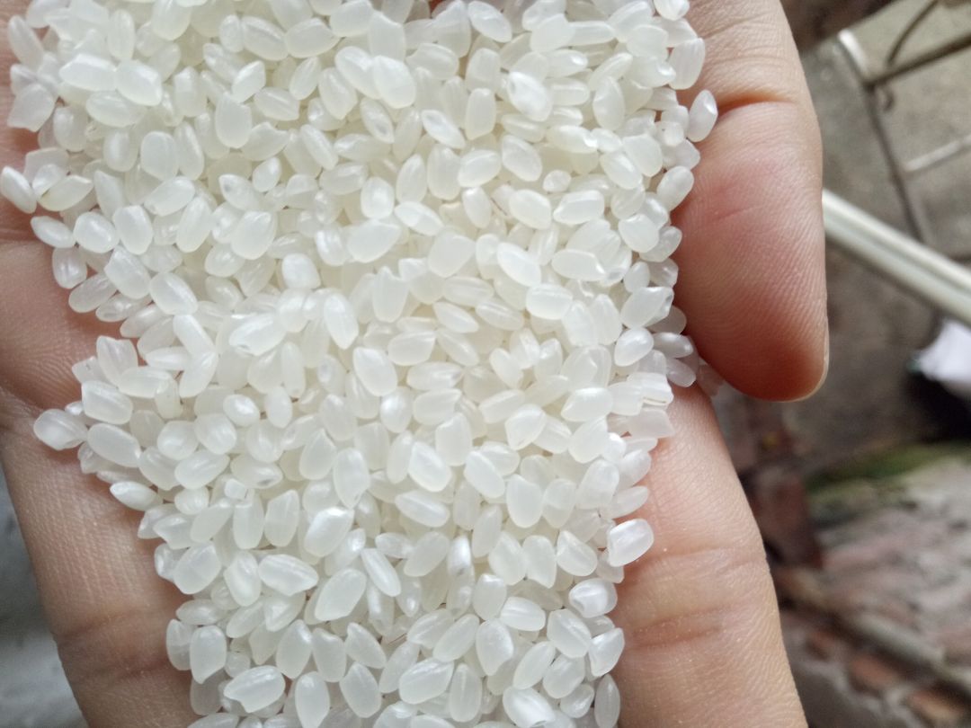 Ngon. Cơm nguội không bị khô. Tiki giao hàng rất tốt. Ngon. Cơm nguội không bị khô. Tiki giao hàng rất tốt.