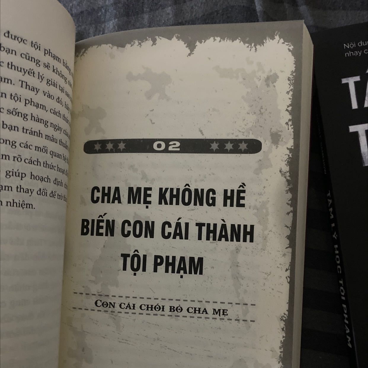 Sách khá là hấp dẫn , cho mình nhữbg kiến thức về tâm lý tội phạm đặc biệt là biết trẻ em vì sau hư hỏng . Sách và giấy okay , giao hàng okay