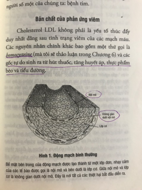 Sách hay và bổ ích, dành cho những ai quan tâm đến chống quá trình o y hoá và thoái hoá của cơ thể,