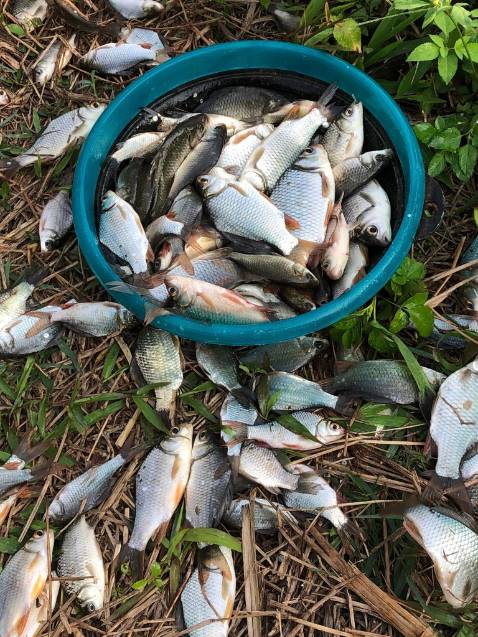 Đẹp xịn rẻ mn nên mua đi nkaaaaaaaaaaaaaaaaaaaaaaaaaaaaaaaa