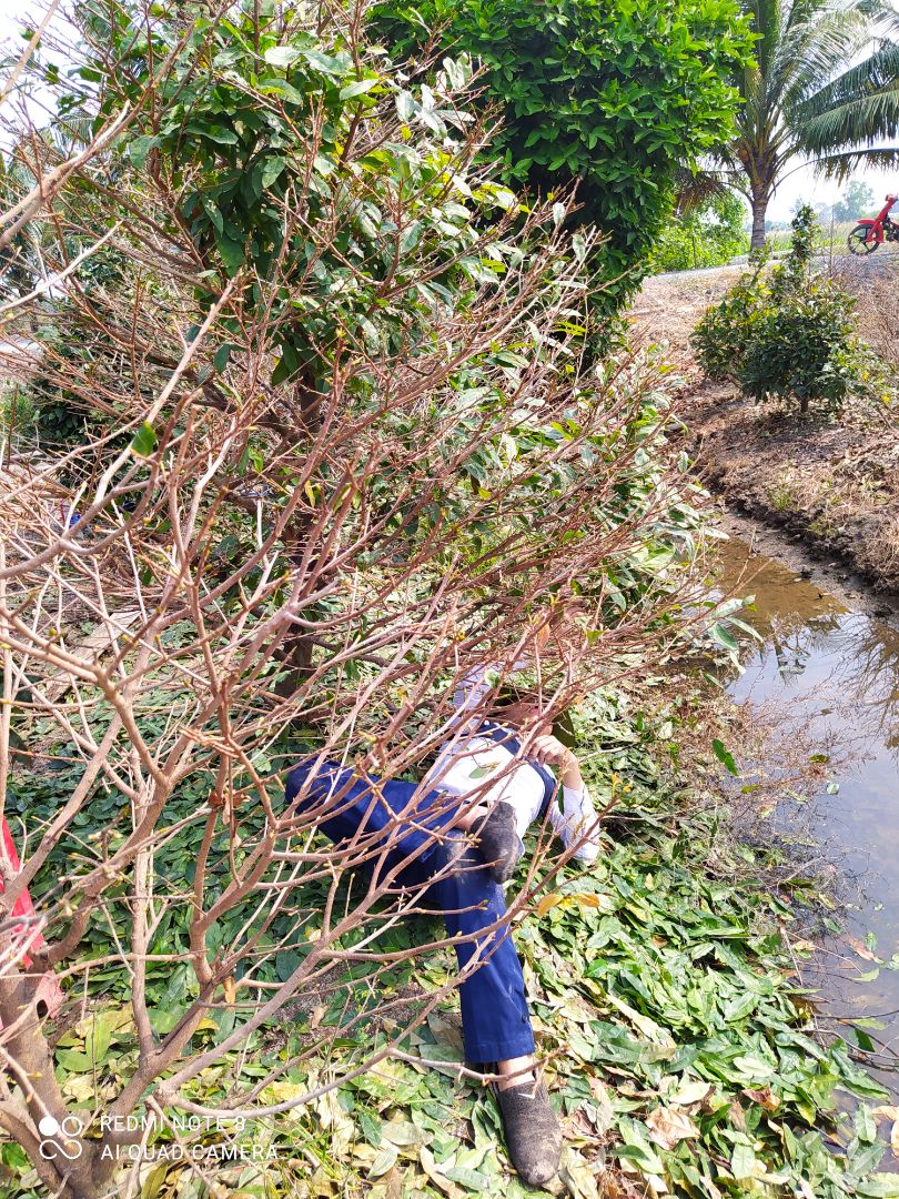 nho gọn dễ sử dụng