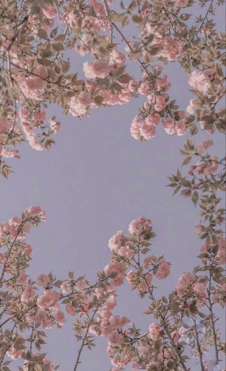 hàng được đóng gói rất kĩ ạ.