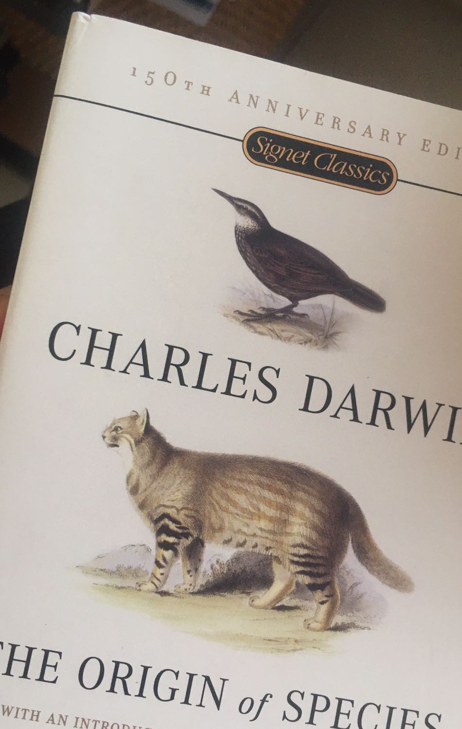 Sách có 1 vết băng keo và vết gập nhỏ (hơi tiếc 1 chút) còn lại thì rất ổn