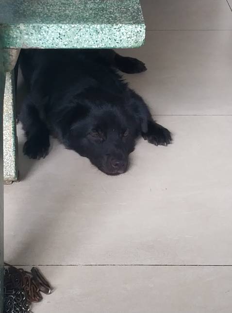 Nội dung sách khá hay, cung cấp thêm thông tin về cách thức vận hành công ty