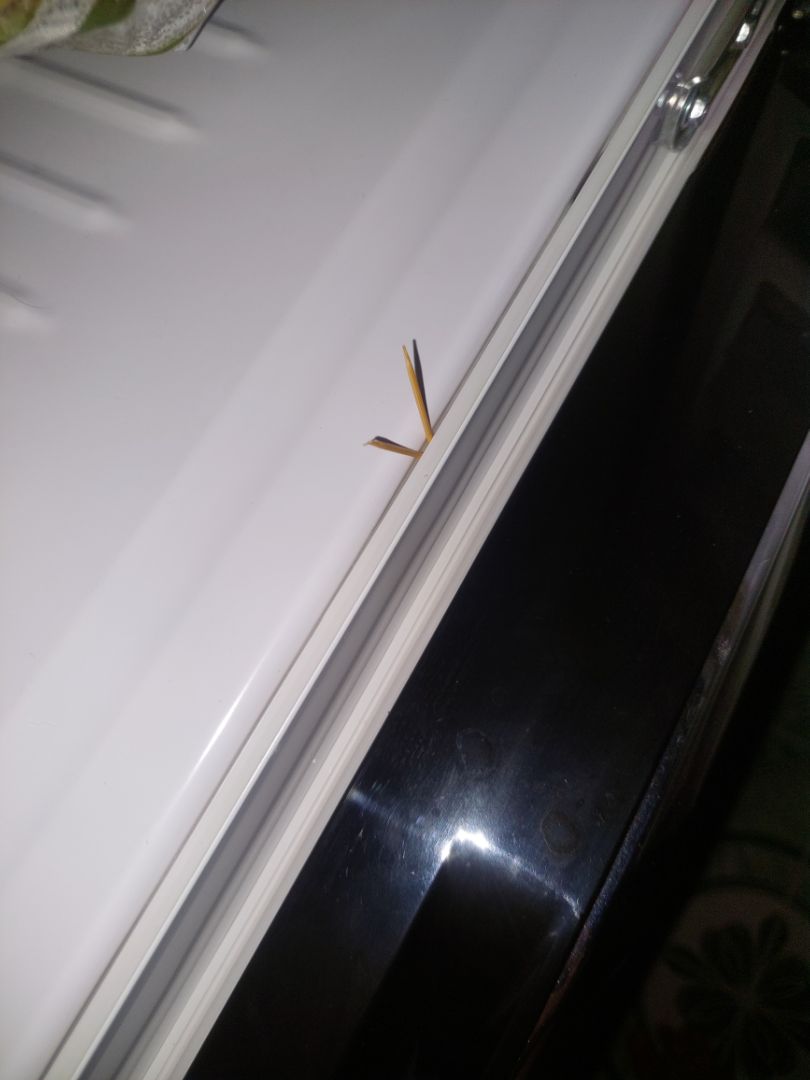 mình mua tủ mới. cái đầu bị lỗi thụng chân tủ. anh chị *** nhiệt tình. đổi cho mình cái mới.  mình sài 2 tuần thì ro tự nở ra. mình cảm thấy hãng banasonic. sản xuất chưa được kỹ.. tủ không thoát thơi ra ngoài. nên mình để vây sử dụng. máy chạy êm bình thường .