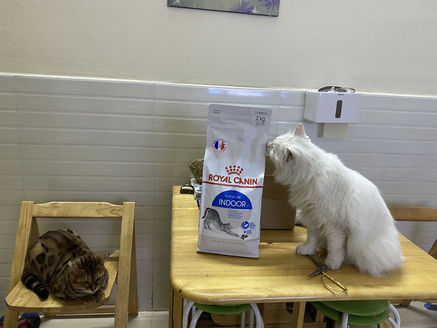 Shop giao hàng nhanh ! ?????? Shop giao hàng nhanh ! ??????