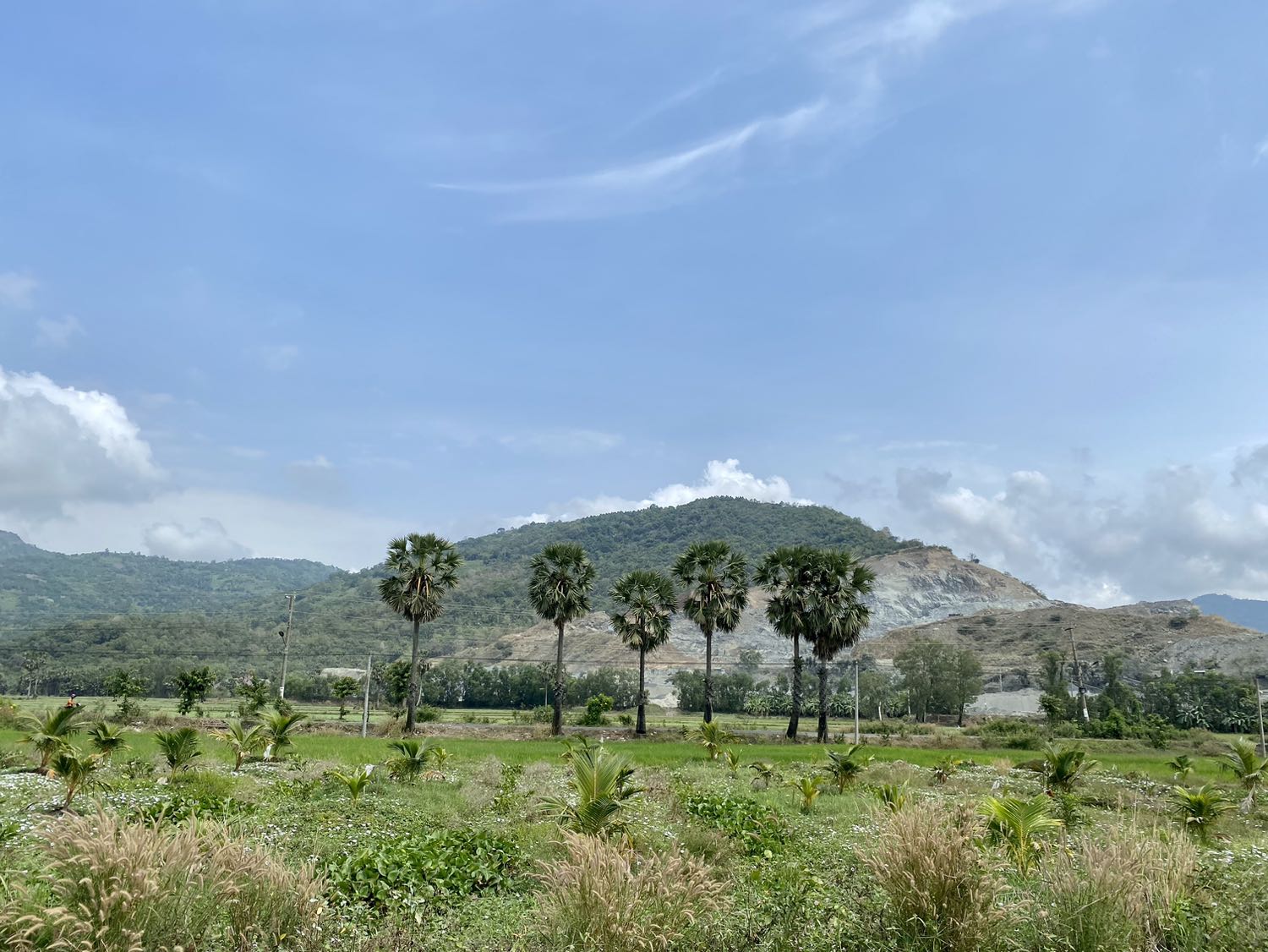 Cối bằng chất liệu nhựa plastic nhẹ, bền, dễ vệ sinh và sử dụng