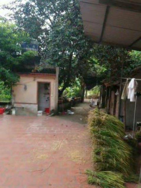 Nằm thử rất êm, sướng lắm cả nhà ạ! Trải nghiệm là thấy hào hứng đấy, giá thì rẻ mà nằm khá thoải mái, độ đàn hồi 4 chiều rất tốt, ai nằm cũng ok, rất hợp mua cho bme, gối đầu cho các cụ dễ ngủ! tôi thích màu trắng, mà màu xanh dương hoặc màu hồng cũng rất đẹp! Sản phẩm nói chung là ưng ý! 
góp ý 1 chút sản phẩm hơi mùi nhựa cao su 1 chút, phải cởi bỏ cái áo gối đi giặt, để lõi 1 lúc bên ngoài thì hết, nói chung không đánh kể!
Shipper đợt này giao hơi lâu! Nhưng tôi vẫn cho 5 sao, vì đánh giá sp chứ không đánh giá dịch vụ của Tiki! ủng hộ shop