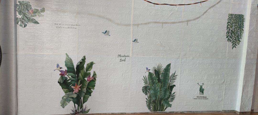 giao nhanh giống mô tả