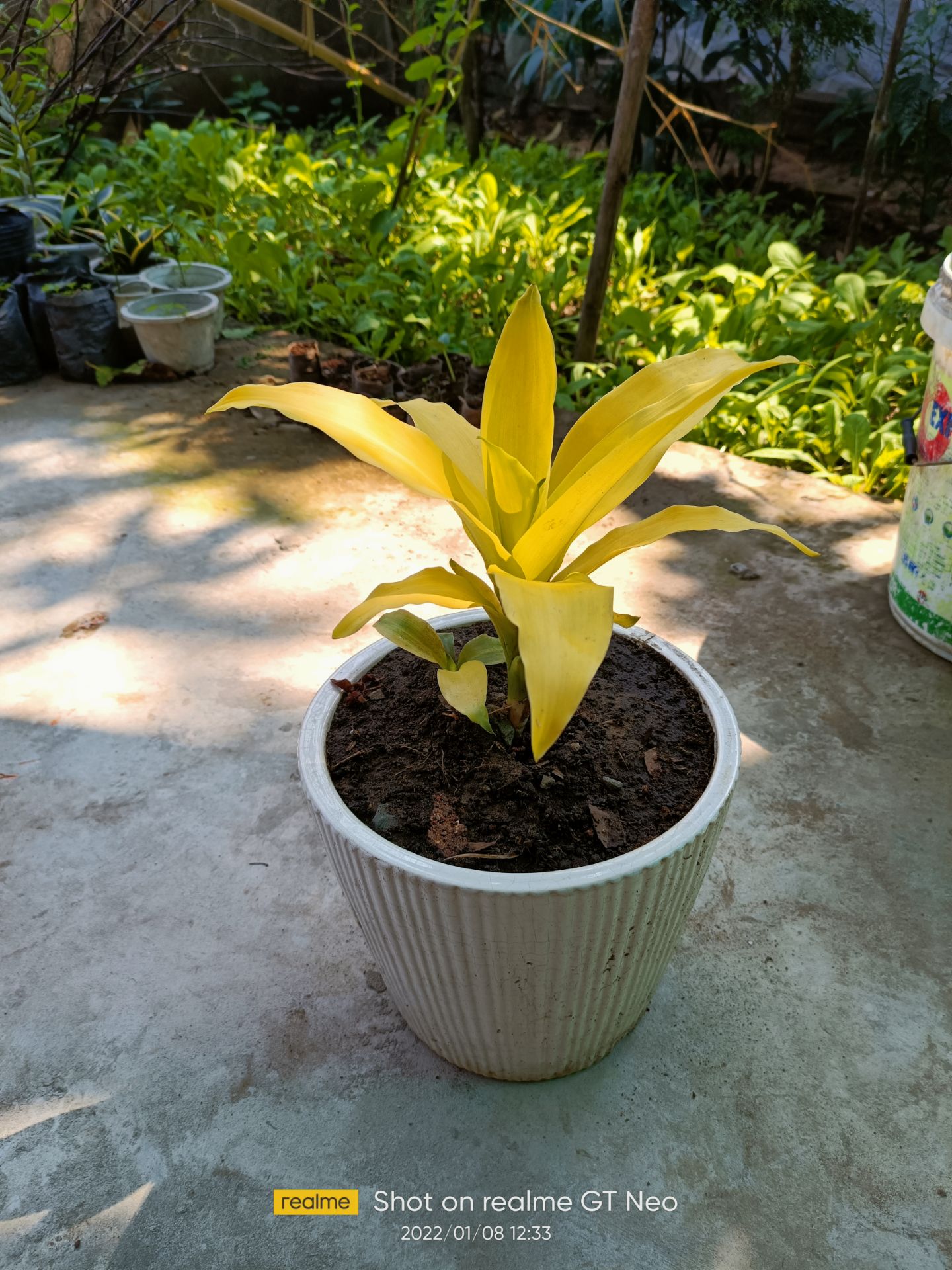 hàng rất tốt. hút chân không nên bảo quản lâu. tks shop