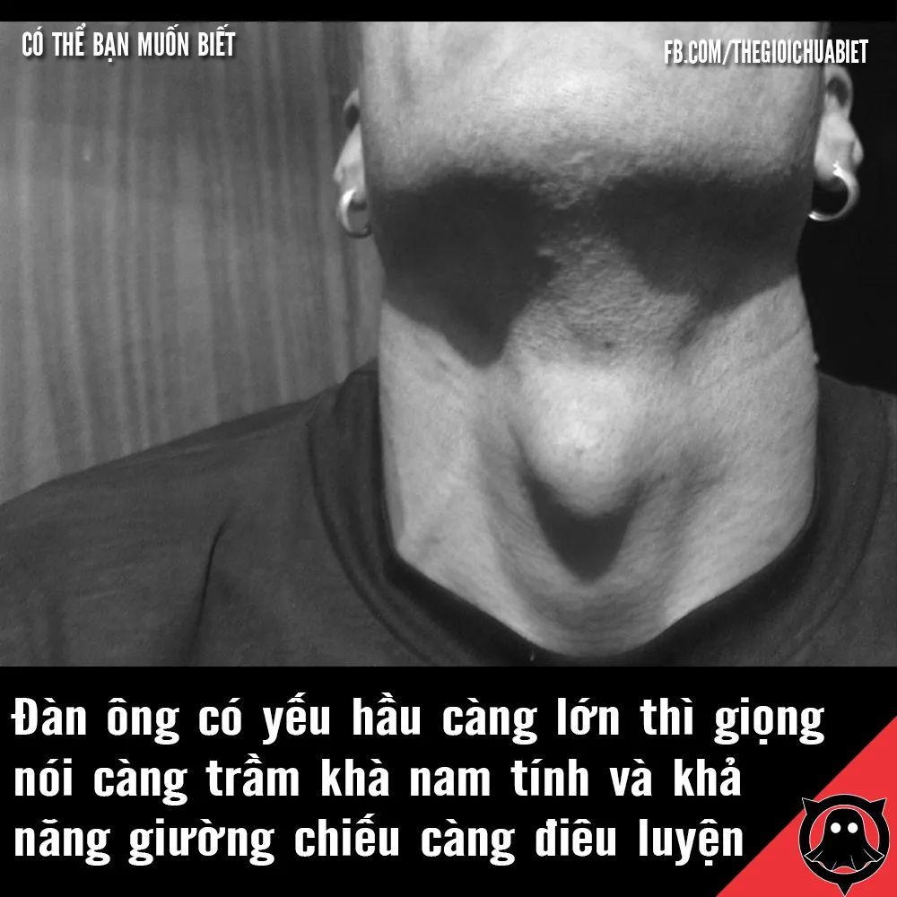 tủ hôi mùi nhựa, ko chắc chắn, giao hàng chậm./.