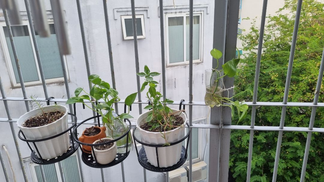 kệ nhìn đáng yêu lắm ạ! Có vài vết sướt nhỏ nhỏ, vs tróc ít sơn nhưng vì xinh nên bỏ qua hết nha. Đóng gói bao bọc kỹ cứ như hàng dễ vỡ í. tiki giao hành nhanh, chu đáo dù đang trong mùa dịch. Cám ơn Tiki ^^