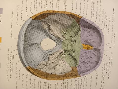 3,5kg nha🥹mk đỡ từ tay a shipper, cứ nghĩ n nhẹ nên k để ý lắm, ai ngờ n nặng quă làm mk khuỵu ng xuống🥲
Mà n đẹp lắm lun. Hình minh họa rõ ràng, sắc nét, từ tổng quan đến chi tiết.
Đóng gói kĩ càng, cẩn thận😊
