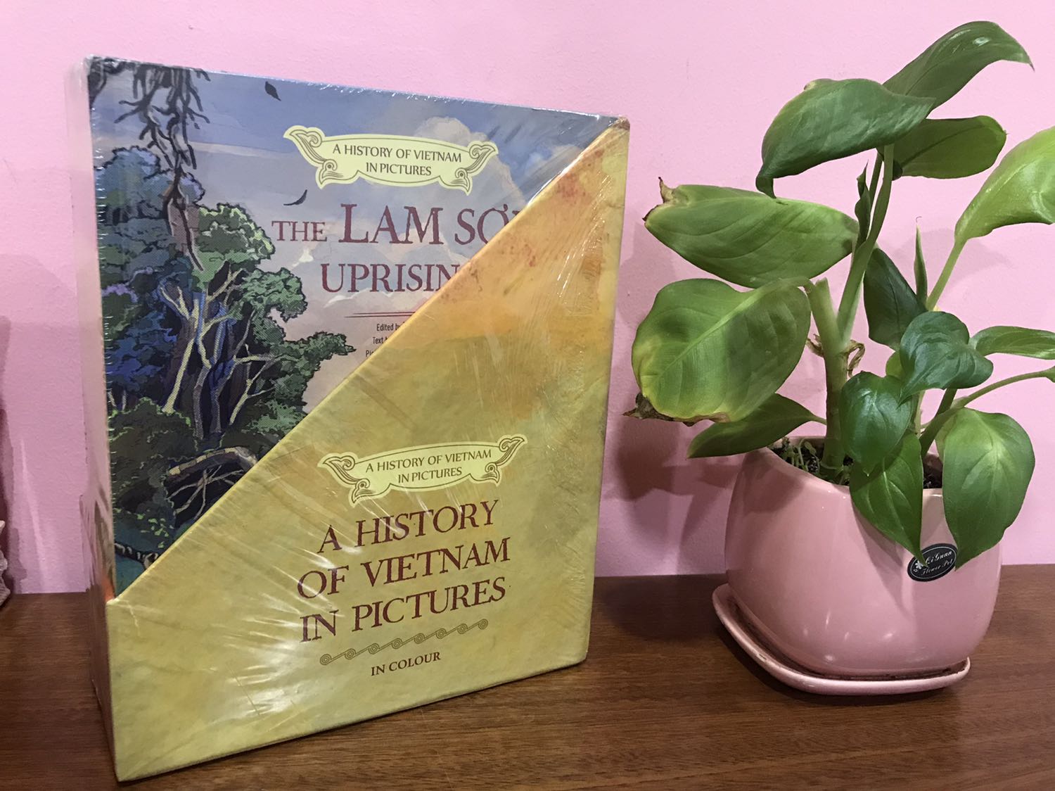 Sách rất đẹp, ban đầu có lỗi hộp chút mình *** cho tiki để đổi hàng sau tiki giao một lúc ba đơn gồm cả đơn này, quá ưng. Mấy anh chị support tận tình.