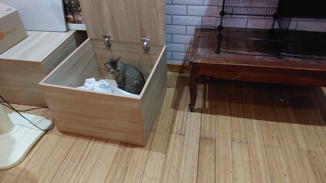 Tủ ổn trong tầm giá, chắc chắn nhưng phần nắp ko khít vuông vức, bị hụt lệch một chút, chấp nhận được. Shiper dễ thương, giao đúng hẹn.