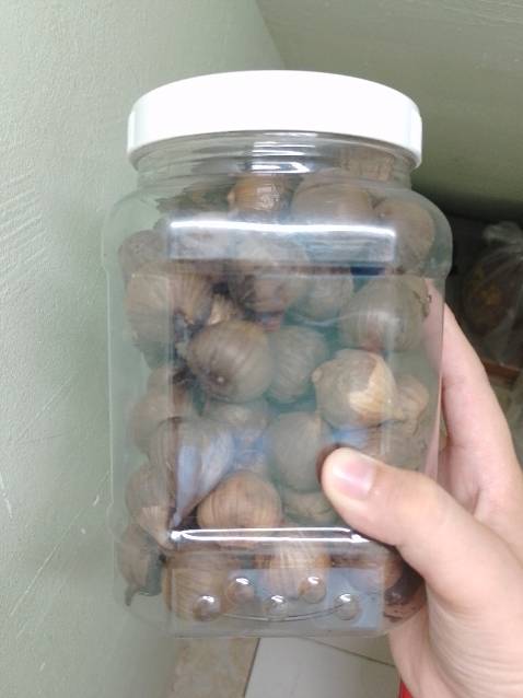 Nồi xịn,ủ trong 9 ngày và sấy 2h là ok,rất ổn áp