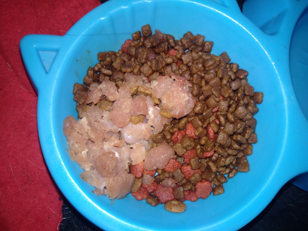 mèo nhà ưng với ăn mạnh hơn loại mình mua lúc trước.Sẽ mua tiếp lần tới.