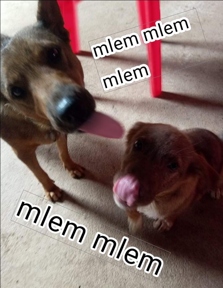 * sản phẩm
   •ưu : nhỏ gọn, kiến thức vừa đủ, đẹp, nét, giải thích OK, tiện lợi khi mang ra ngoài để tra cứu nhanh, dùng những từ ko quá khó hiểu, giấy dày và dai rất thích. tuy nhiên ko cẩn thận thì rách như chơi, gáy sách dán keo khá chắc chắn
• nhược : chữ viết hơi nhỏ nên khó nhìn, phải mở sát tận gáy thì mới thấy hết nội dung, như thế rất dễ rách sách. 
* dịch vụ
• ưu : giao hàng nói chung là ổn r, OK r.  hẹn t2 giao mà CN giao r.  giá ổn, vừa với túi tiền học sinh
• nhược : tiki chả nâng niu sách gì cả, quăng *** sách vô hộp dán băng keo thế là xong. may mà sách của mình ko bị hư hại gì. mấy lần trước mua ở tiki về sách gãy hết trơn. nhưng mình ko quá cầu toàn nên bỏ qua. nhưng thấy ai cũng bị vậy nên hơi khó chịu tiki r đấy