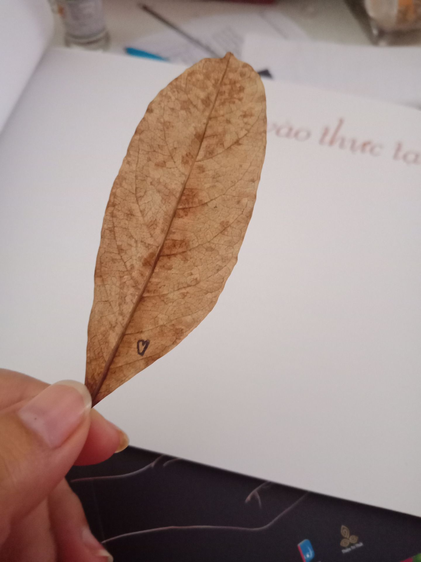 nhận sách bất ngờ khi nhận được em lá này, thank you ❤