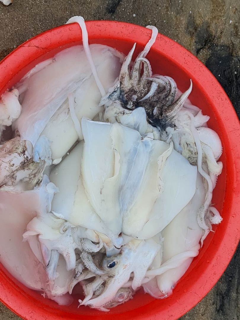 sản phẩm mới, nguyên đai nguyên kiện