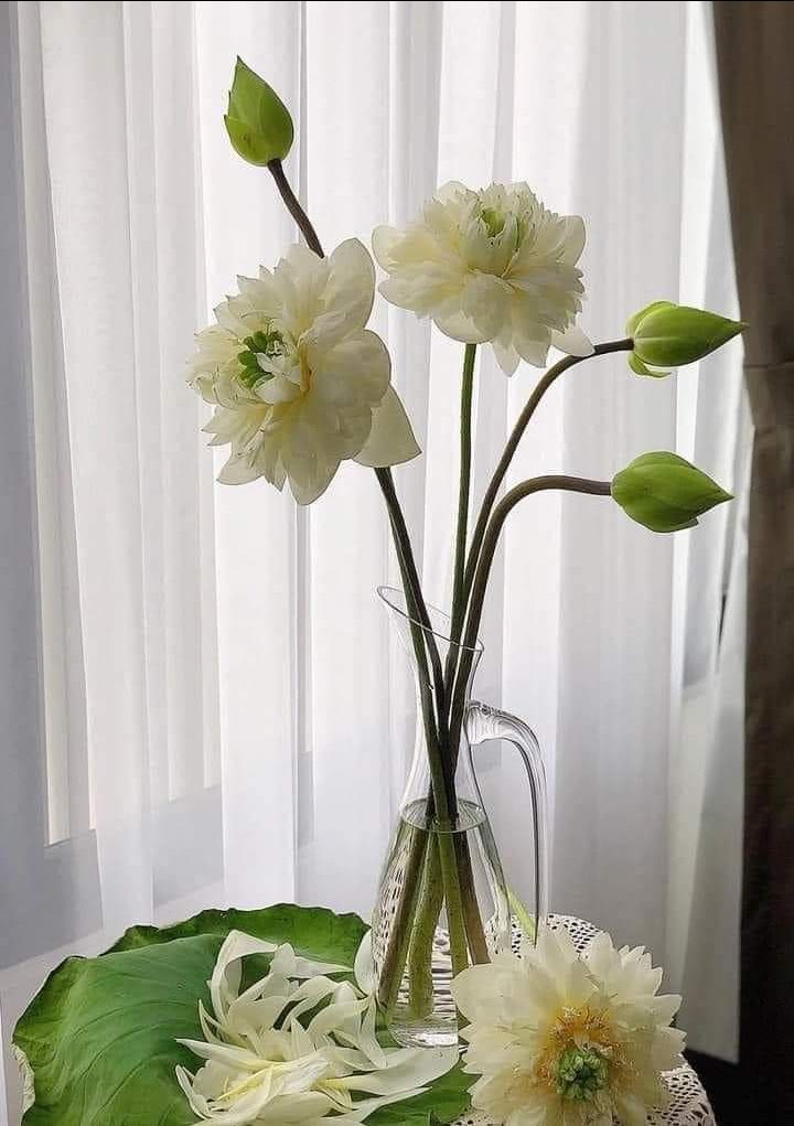 Okie, dễ đọc dễ hiêu! Nên mua thêm sách Nhân số học của MC Quỳnh Hương để đọc thêm để hỗ trợ! Giao hàng nhanh, sách mới