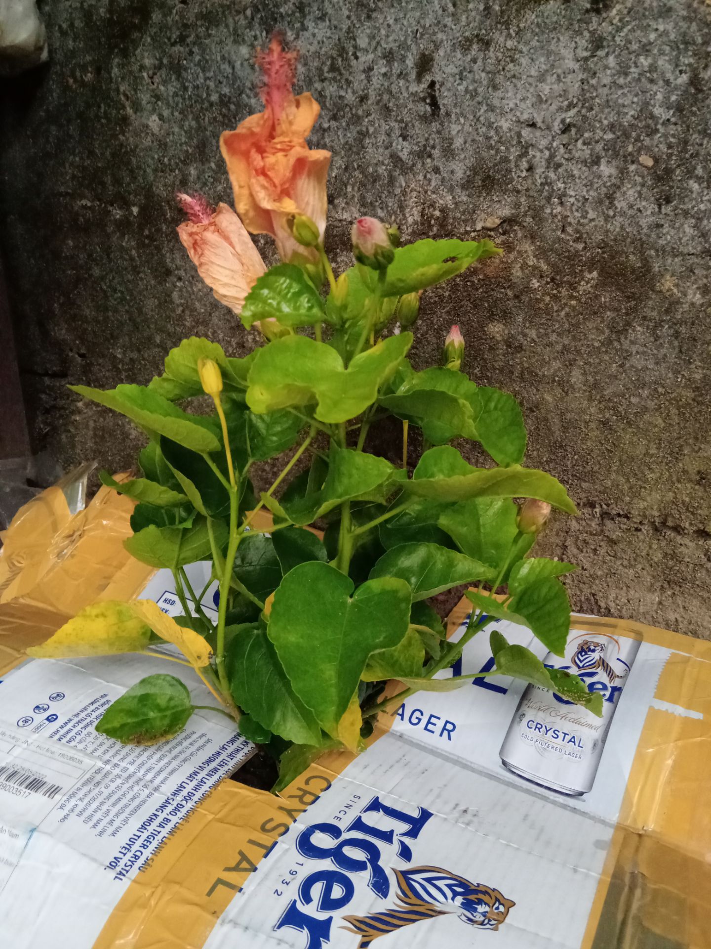 sản phẩm chất lượng moi người nên mua