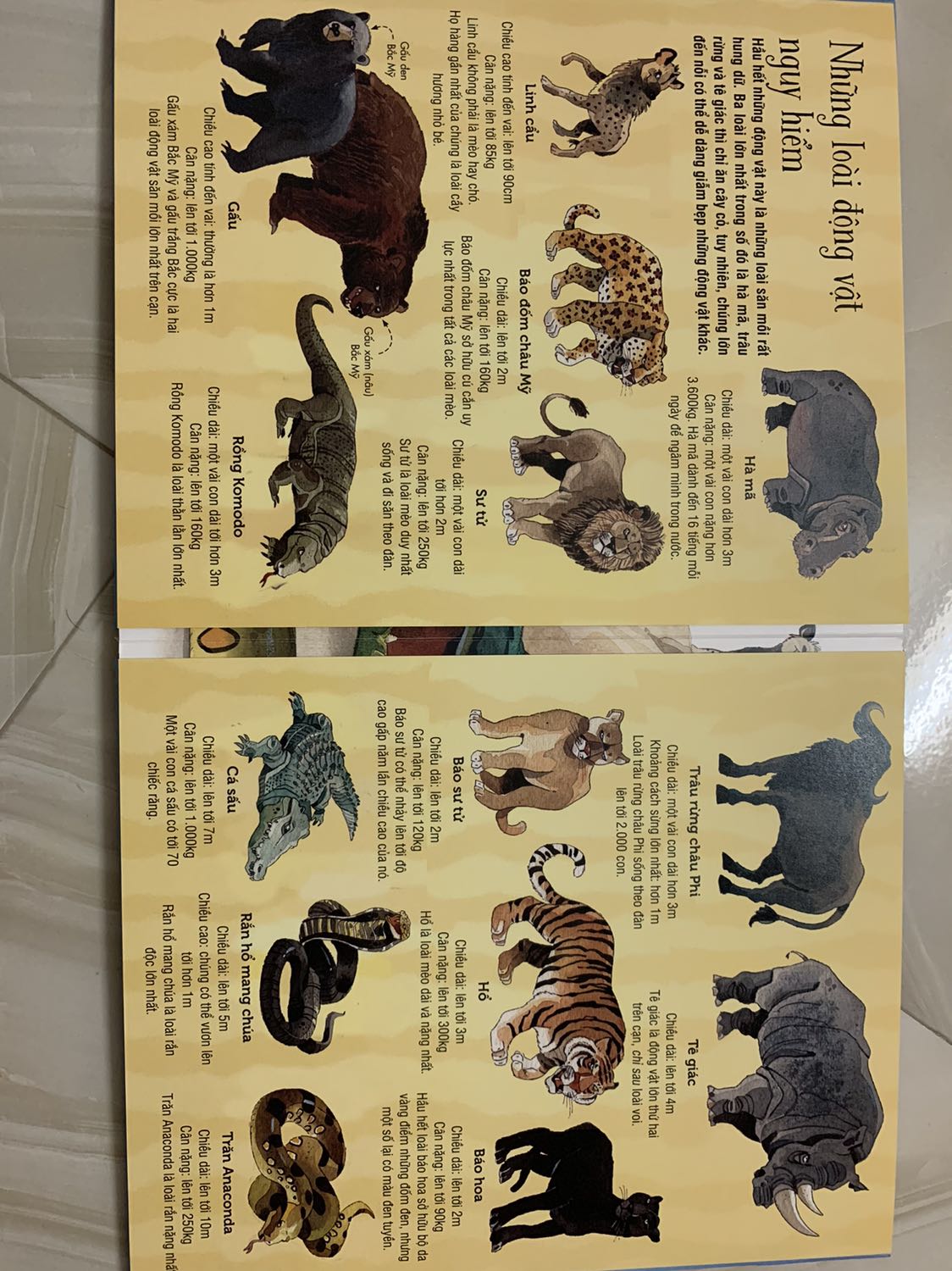 Sách đẹp, bé nhà mình rất thích