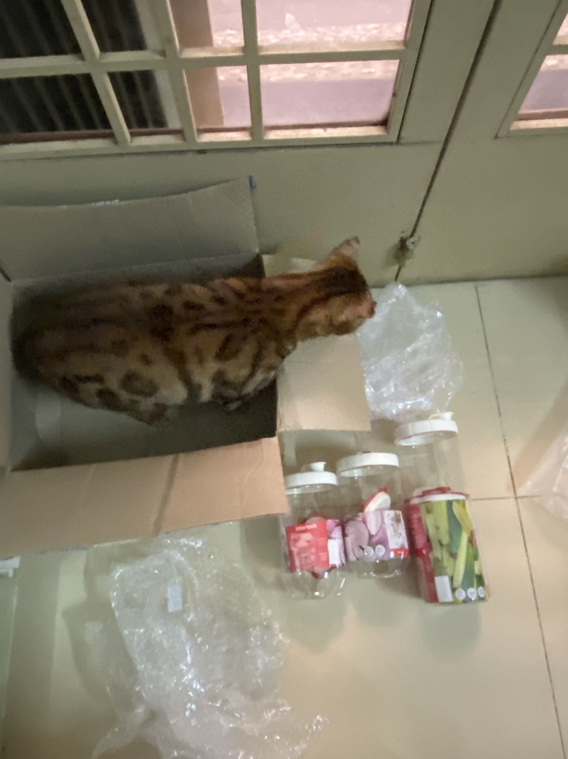 Hộp cao & nhỏ gọn , để muối dưa cà, hành kiệu , để được bên cánh cửa tủ lạnh rất tiện lợi !