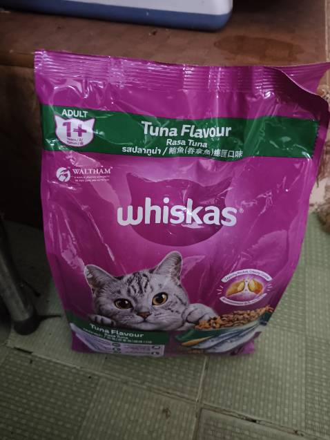 Mèo nhà mình rất thích