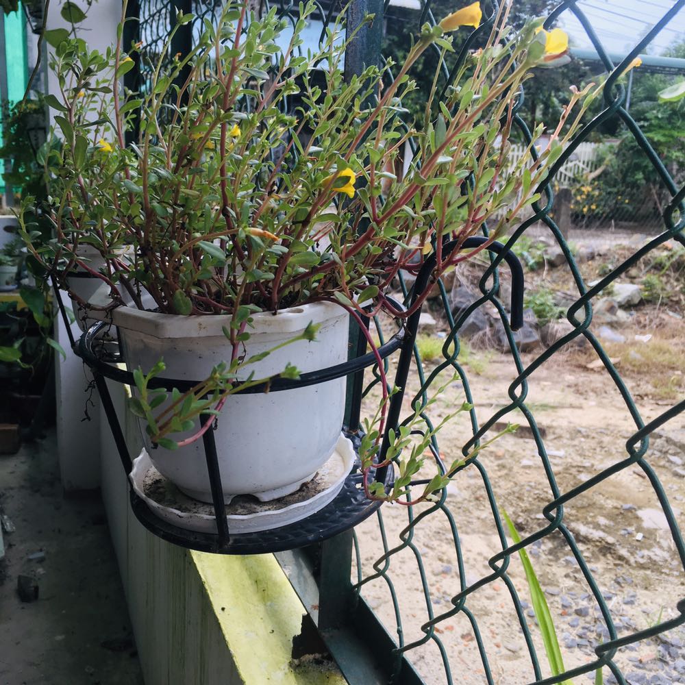 Ship cao quá ạ! Ship hơn 50k, chọn thử 2 set mà ship gần 100k, có cách nào giảm phí ship lại k ạ