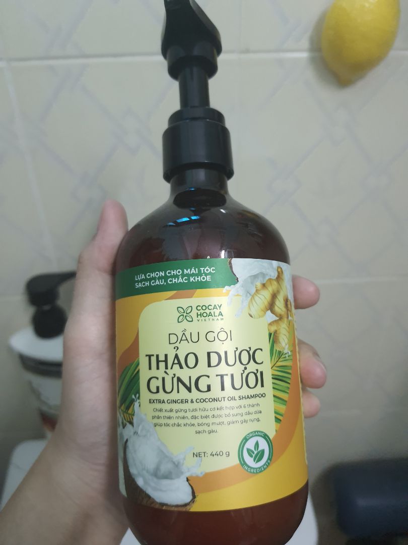 dầu gội thơm mùi gừng, gội nghe cảm giác nóng nóng da đầu nhưng xả thì sẽ hết. gội xong thấy tóc khô như các loại dầu gội trị gàu khác, dùng thêm dầu xả sẽ ổn. Sẽ mua thêm chai nữa nếu hết