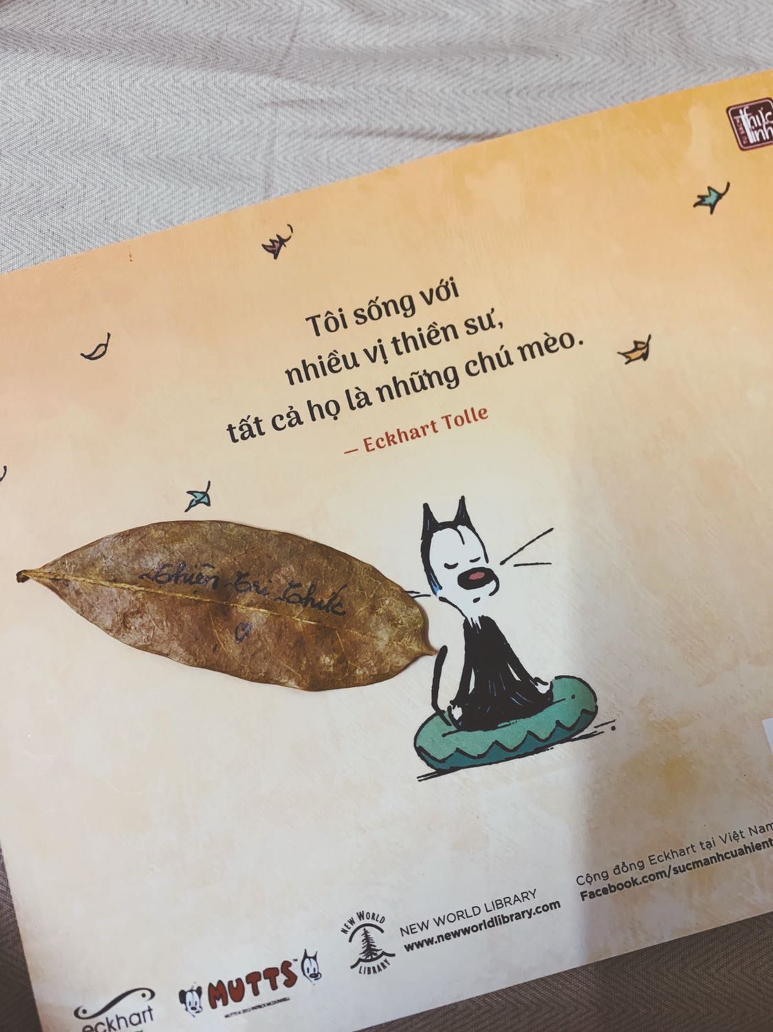 Sách dễ thương ghê, lần đầu thấy chiếc bookmark bằng lá khô xinh xẻo thực sự. Đang cần tìm hiểu về chữa lành thì đột nhiên biết về Thiện Trí Thức và m đi search thử xem có gì hay ko, cuốn sách này đến như kiểu vũ trụ tặng mình vậy ❤️