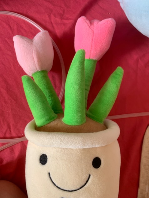 Chất lượng sp khá tốt, giá thành hợp lý, ship nhanh chóng