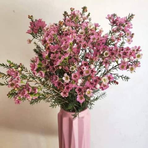 Chất vải đẹp, dây thoải mái, đóng gói tốt và giao hàng nhanh.