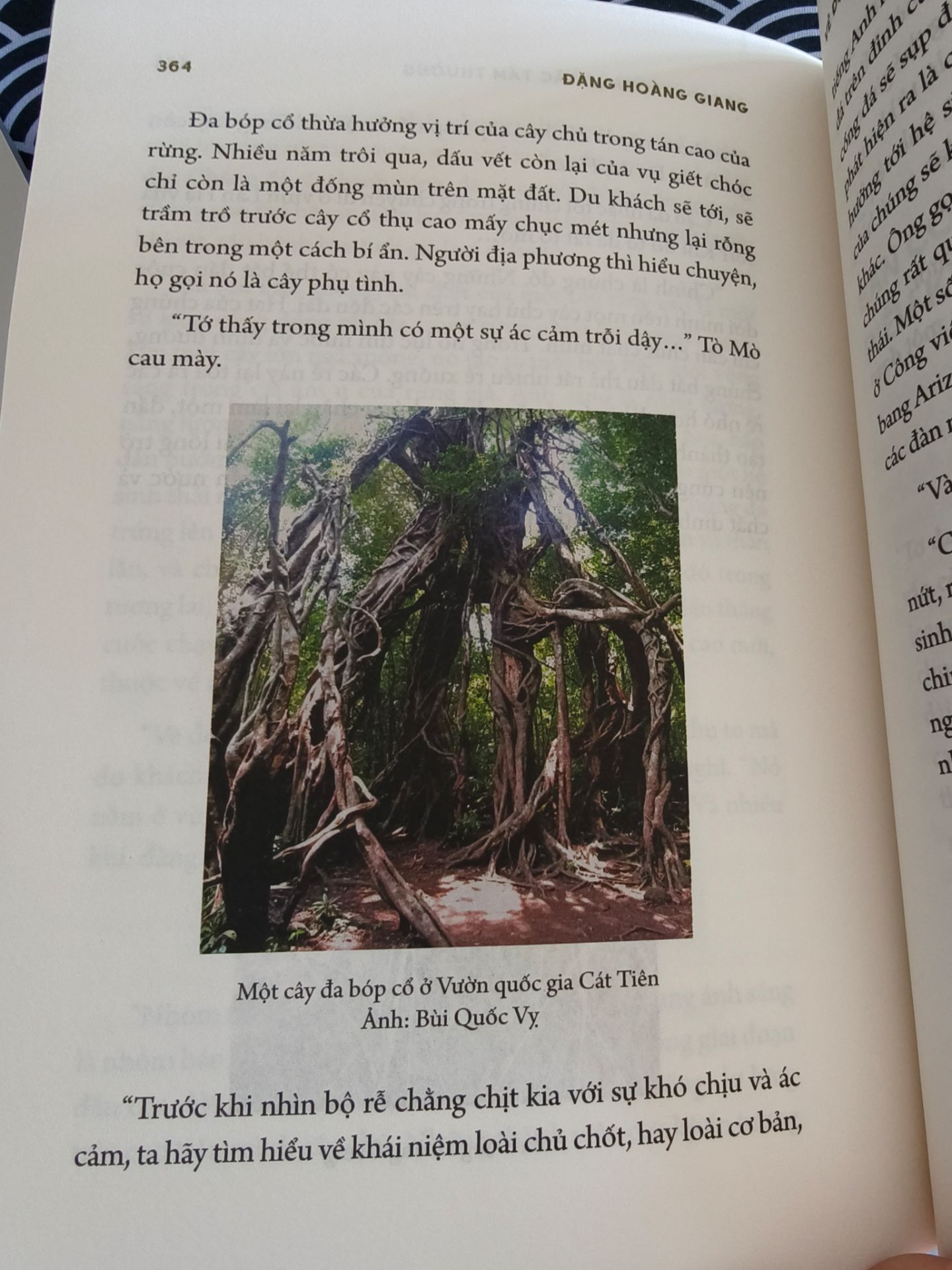 Sách hay, vừa dễ thương lại vừa nhiều suy ngẫm, đóng gói rất cẩn thận, giao siêu nhanh