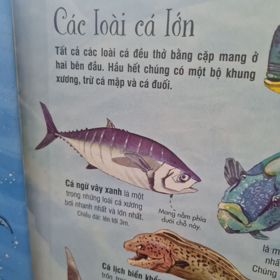 Giao hàng nhanh. Đóng gói cẩn thận. Sách tốt cho các bé