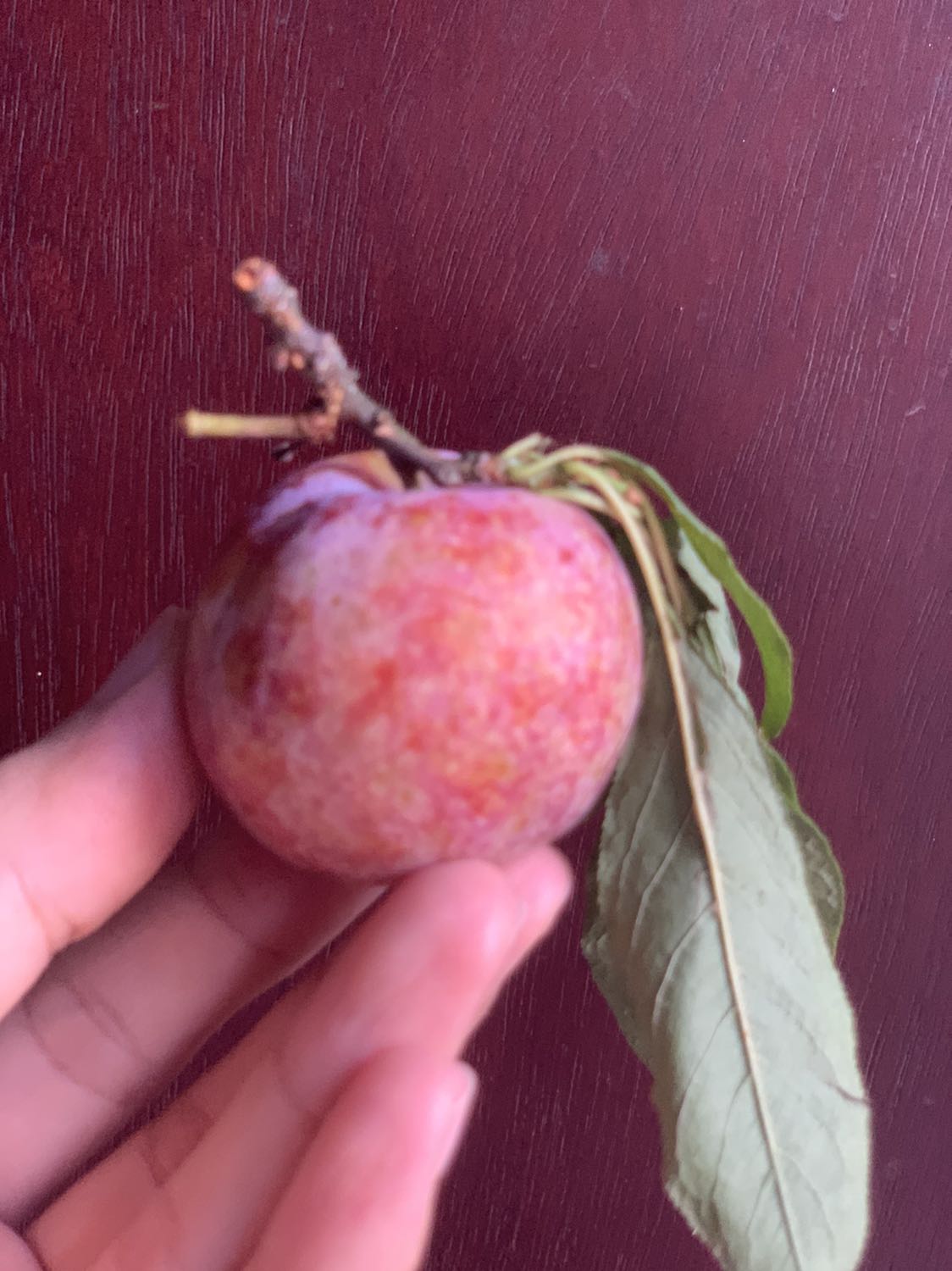 Bộ nhìn xinh giá rất ok nên mình rất ưng, hình ảnh minh hoạ thôi vì minh mang đi giặt rồi