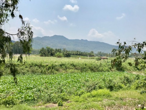 Sản phẩm tốt dùng ok