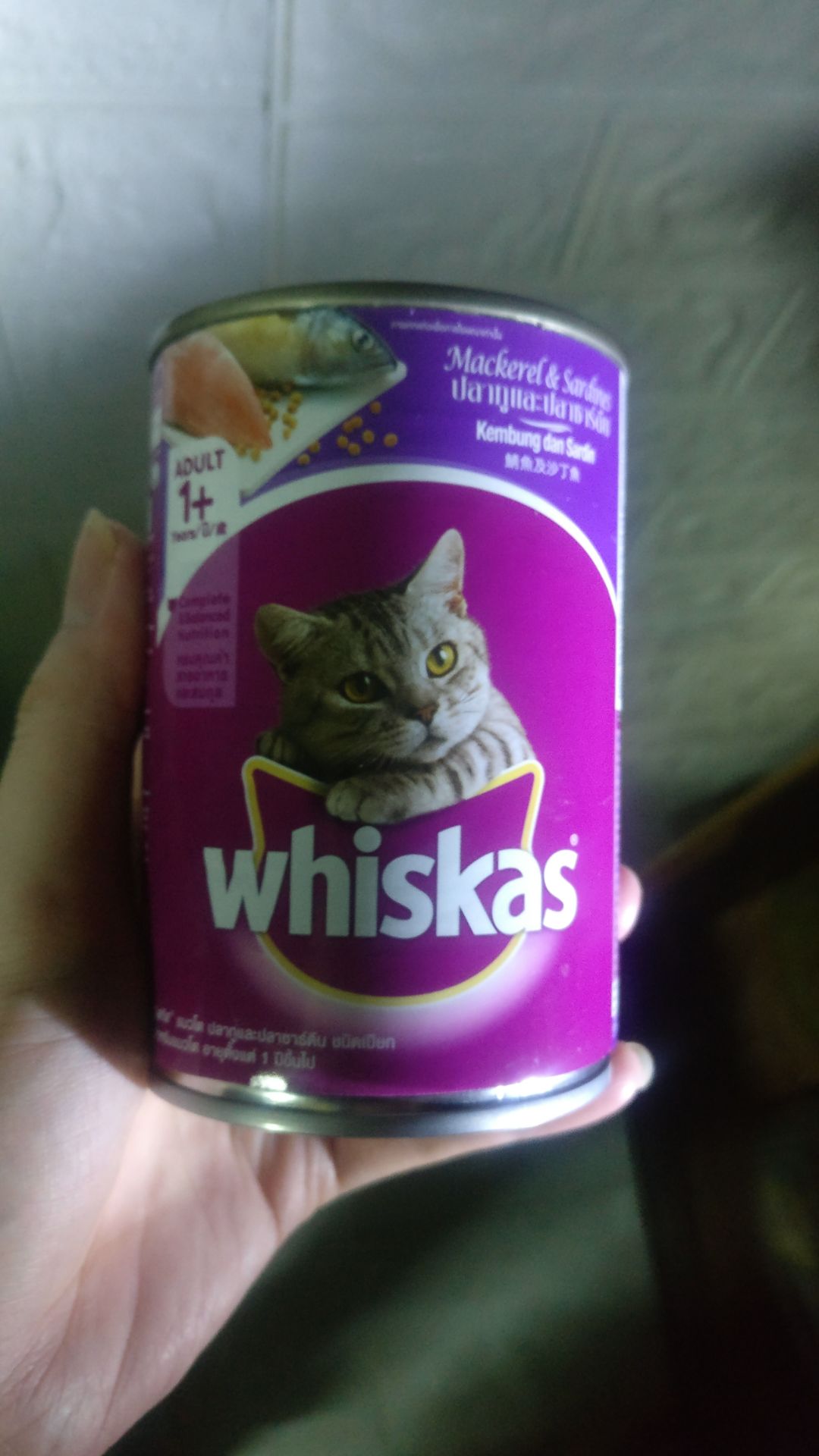 đợt này cá hơi nhão, hình như sắp thiu, mèo ko thích ăn như đợt trc nữa. ko biết có nên mua tiếp hay ko?