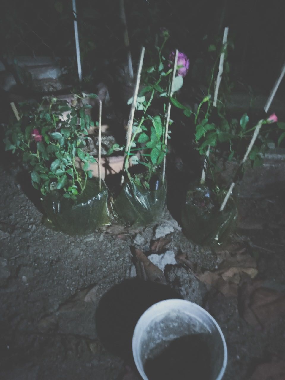 Giao hàng không đúng số lượng