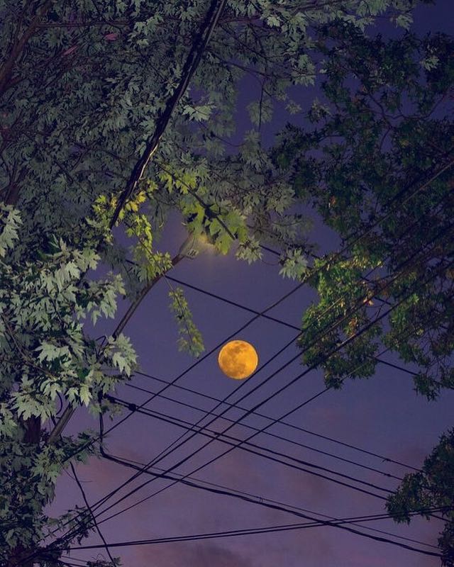 đã nhận được sách, đóng gói chắc chắn cẩn thận. Giao hàng nhanh
Sẽ ủng hộ tiki